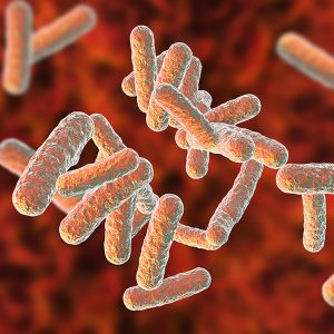 Efficacy of Ultraviolet Irradiation in Controlling the Spread of Tuberculosis